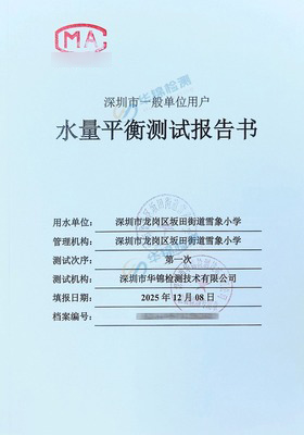深圳市龙岗区坂田街道雪象小学水量平衡测试报告案例